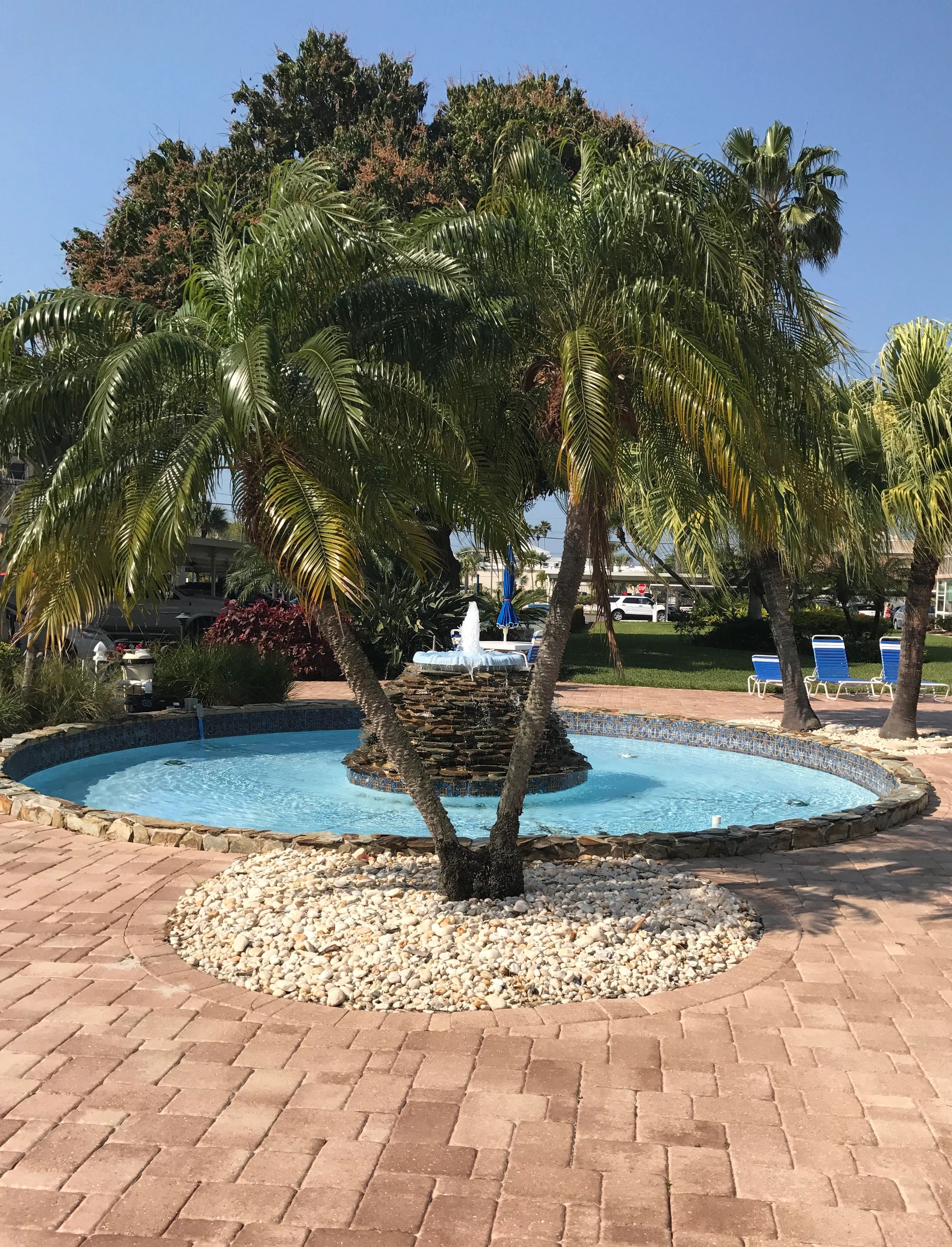 Tropical resort pool with circular fountain and palm trees