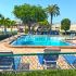 Resort-style pool with blue lounge chairs and palm trees